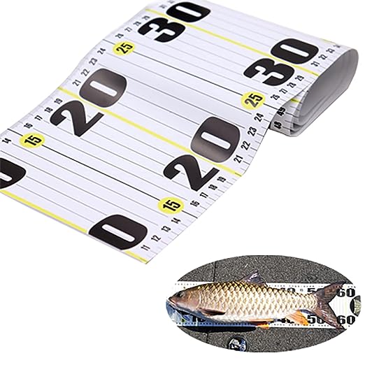 Fish Ruler 53