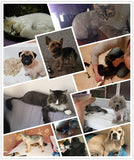 Dog Clipper Dog Hair Clippers Grooming  (Pet/Cat/Dog/Rabbit)