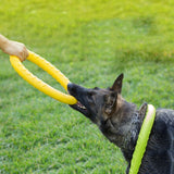 Pet Flying Discs EVA Dog Training Ring