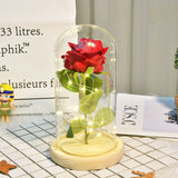 24K Gold Foil Flower With Fairy String Lights In Dome LED Enchanted Galaxy Rose Eternal For Valentine's Day Christmas Gift