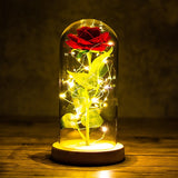 24K Gold Foil Flower With Fairy String Lights In Dome LED Enchanted Galaxy Rose Eternal For Valentine's Day Christmas Gift