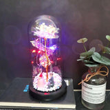 24K Gold Foil Flower With Fairy String Lights In Dome LED Enchanted Galaxy Rose Eternal For Valentine's Day Christmas Gift
