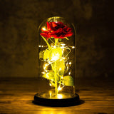 24K Gold Foil Flower With Fairy String Lights In Dome LED Enchanted Galaxy Rose Eternal For Valentine's Day Christmas Gift
