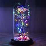 24K Gold Foil Flower With Fairy String Lights In Dome LED Enchanted Galaxy Rose Eternal For Valentine's Day Christmas Gift