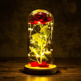 24K Gold Foil Flower With Fairy String Lights In Dome LED Enchanted Galaxy Rose Eternal For Valentine's Day Christmas Gift