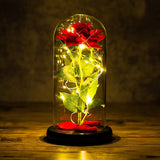 24K Gold Foil Flower With Fairy String Lights In Dome LED Enchanted Galaxy Rose Eternal For Valentine's Day Christmas Gift