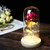 24K Gold Foil Flower With Fairy String Lights In Dome LED Enchanted Galaxy Rose Eternal For Valentine's Day Christmas Gift