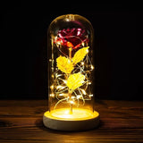 24K Gold Foil Flower With Fairy String Lights In Dome LED Enchanted Galaxy Rose Eternal For Valentine's Day Christmas Gift
