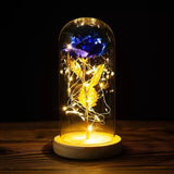 24K Gold Foil Flower With Fairy String Lights In Dome LED Enchanted Galaxy Rose Eternal For Valentine's Day Christmas Gift