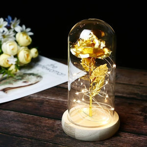 24K Gold Foil Flower With Fairy String Lights In Dome LED Enchanted Galaxy Rose Eternal For Valentine's Day Christmas Gift