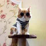 Lovely Pet Dog Cat Glasses Pet Accessories