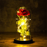 Valentines Day Gift for Girlfriend Eternal Rose LED Light Foil Flower In Glass Cover Mothers Day Wedding favors Bridesmaid Gift